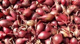Harga Bawang Merah Mengalami Kenaikan. (Pixabay.com/Hans)