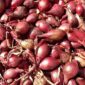 Harga Bawang Merah Mengalami Kenaikan. (Pixabay.com/Hans)