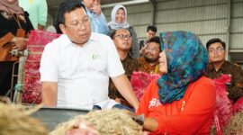 Kepala Badan Pangan Nasional (Bapanas) Arief Prasetyo Adi Meninjau produksi bawang merah  di Brebes, Jawa Tengah. (Dok. Tim Komunikasi Bapanas)